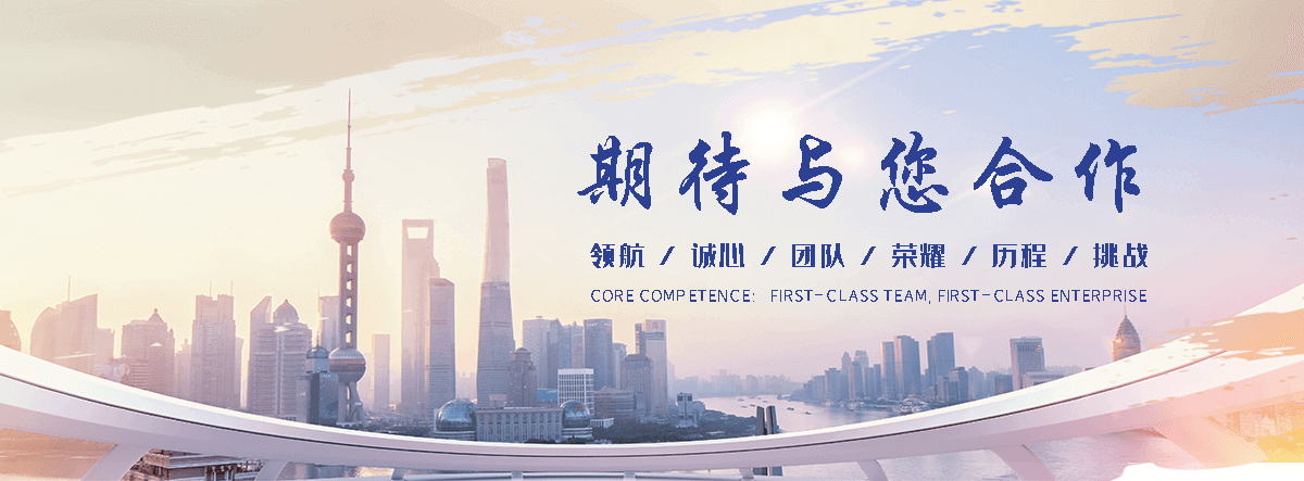 阿拉善盟海狮租赁公司